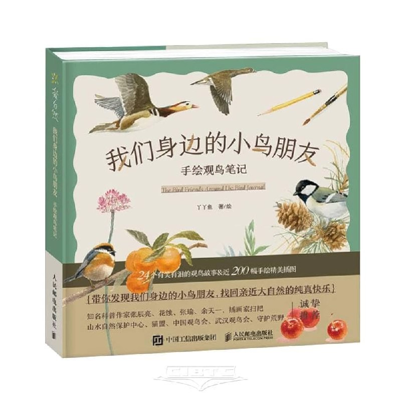 《我们身边的小鸟朋友：手绘观鸟笔记 》精美手绘插画与实用观鸟指南结合，带你轻松识别并亲近城市中的鸟类邻居