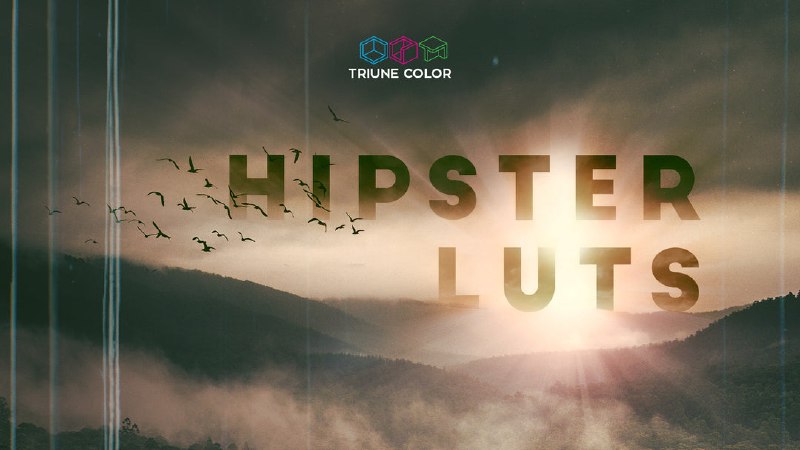 《HipsterLUTs》独特复古胶片感，轻松为照片视频添加电影级色调，让创作瞬间充满高级艺术氛围