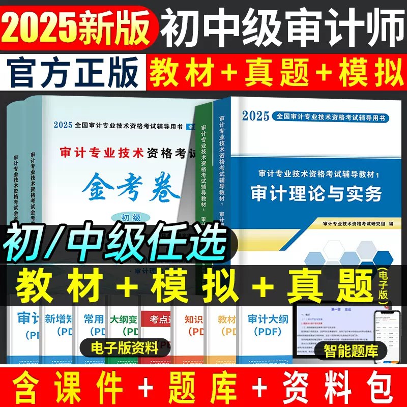 《初级审计师资料合》精选审计师考试核心知识点，助力考生高效备考，快速掌握审计实务与理论