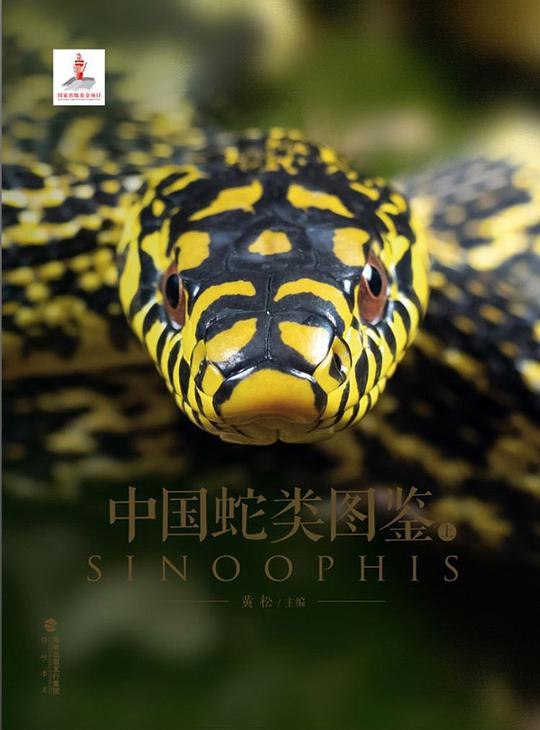 《中国蛇类图鉴》收录中国蛇类全貌，高清实拍与科学分类结合，自然爱好者必备指南️ #蛇类图鉴 #中国蛇类 #自然科普 #生物多样性 2025-08-04 03:01:32🔗 