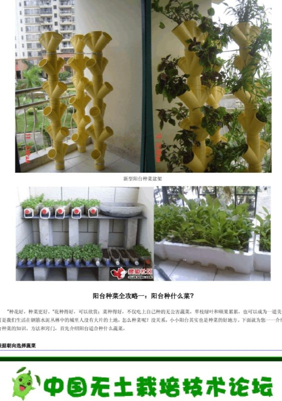 《阳台种植课程｜蔬菜 水果 绿植盆栽教程（家庭园艺+免费视频+种植技术）》免费视频教学，轻松掌握家庭园艺技巧，种植蔬菜水果绿植盆栽，打造专属阳台花园