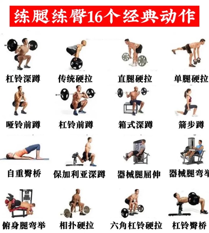 《健身训练标准动作教学》专业教练亲身示范，详解动作要领与常见误区，助你科学训练避免受伤，快速提升健身效果