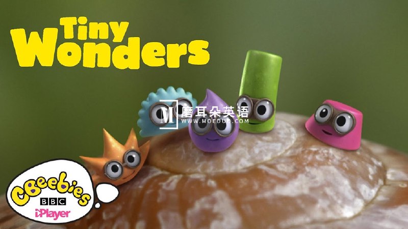《BBC少儿科普动画小奇迹TinyWonders》生动有趣的动画带领孩子探索科学奥秘，激发好奇心与学习兴趣