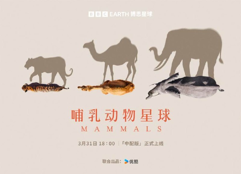 《哺乳动物星球》深入全球隐秘角落，以尖端科技捕捉哺乳动物家族非凡生存智慧与动人亲情，展现自然奇迹