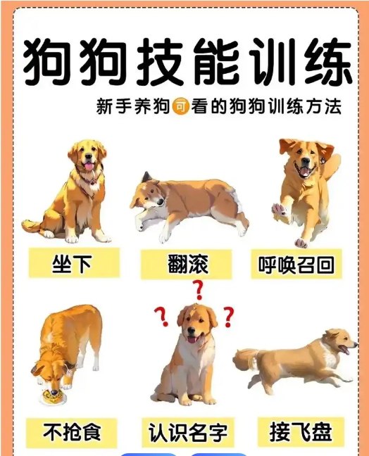 《训犬教程专业训犬教程（140节课）》140节专业课程，系统化教学，从基础到高级技巧全覆盖，助你成为训犬达人️ #训犬教程 #专业训犬 #宠物训练 #训犬技巧 #140节课 2025-06-29 05:04:10🔗 