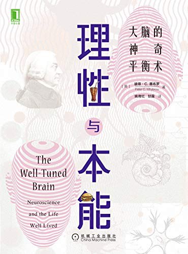 《理性与本能：大脑的神奇平衡术》探索大脑如何巧妙平衡理性与本能，揭示决策背后的科学奥秘，助你更好理解自我