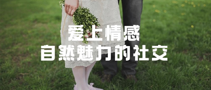 《爱上情感：自然魅力的社交》告别社交焦虑，掌握自然吸引力法则