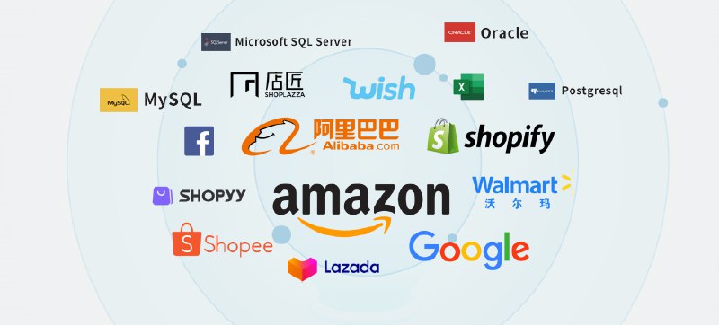 《全面解析跨境电商独立运营》揭秘独立站运营全流程，从选品到营销一站式掌握，助力卖家突破增长瓶颈