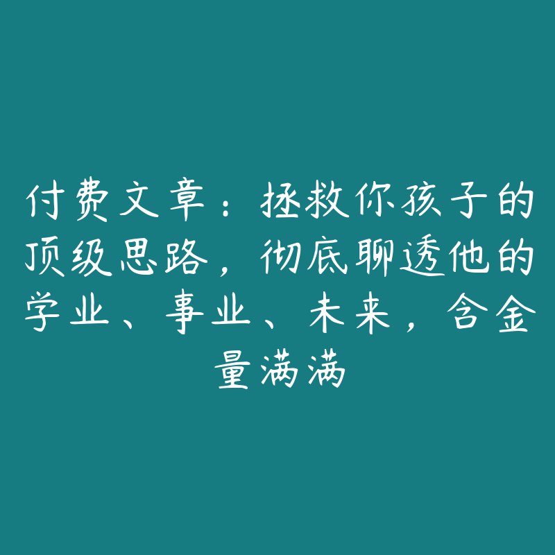 《拯救你孩子的顶级思路，彻底聊透他的学业、事业、未来》深度解析孩子成长关键点，学业、事业、未来一站式规划指南，助家长掌握科学教育方法