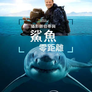 《摄影师贝尔蒂与鲨鱼零距离(2025)》摄影师贝尔蒂潜入深海与鲨鱼共舞，记录惊心动魄的零距离接触，展现海洋霸主的真实面貌与生态奥秘