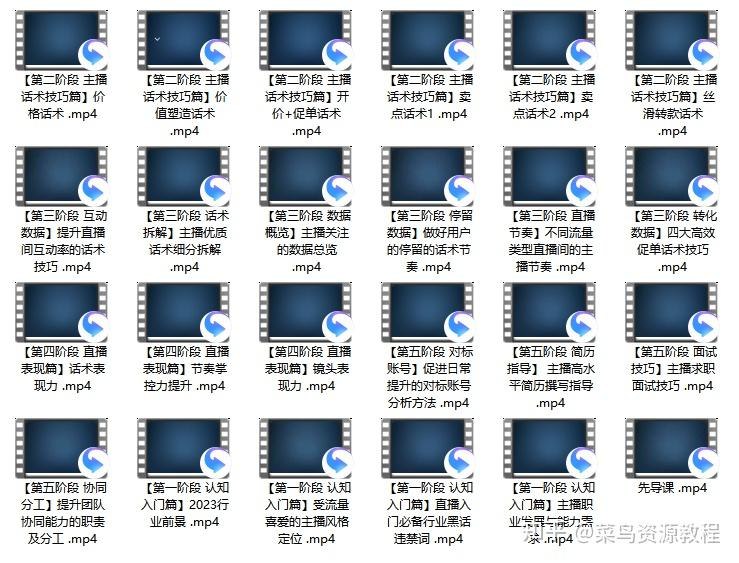 《从0到1成为金牌全能主播2.0（附资源）》从零起步到全能主播，2.0版本新增实战资源，助你快速掌握直播技巧，轻松吸引粉丝，实现流量变现
