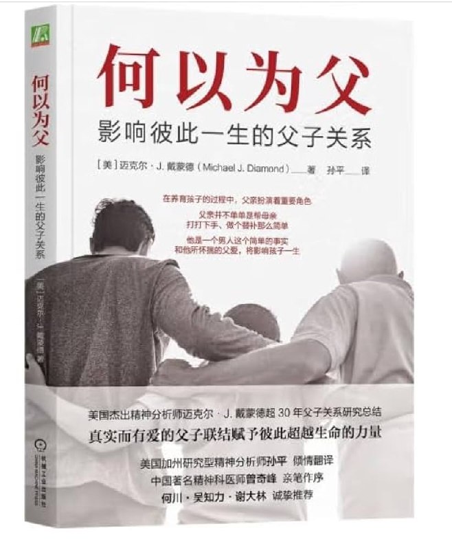 《何以为父：影响彼此一生的父子关系 》探索父子关系的深刻内涵，揭示爱与责任的交织，助你理解与父亲的情感纽带