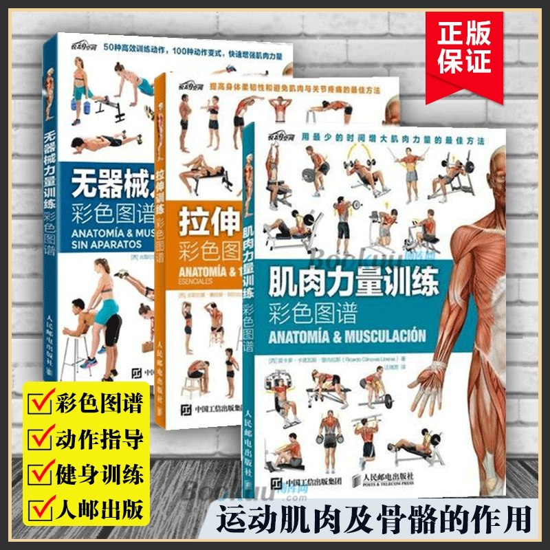 《运动健身书籍合集》科学训练与饮食指南，搭配真人图解，助你高效增肌减脂，打造理想身材