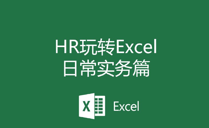 《HR玩转Excel日常实务篇》高效解决HR日常数据处理难题，提升工作效率，从招聘到薪酬一键搞定，实用技巧让Excel成为得力助手