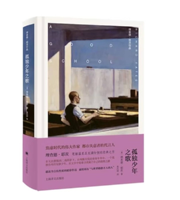 《孤独少年之歌》讲述少年在孤独中成长的心路历程，情感真挚动人，引发共鸣，激励读者勇敢面对人生挑战