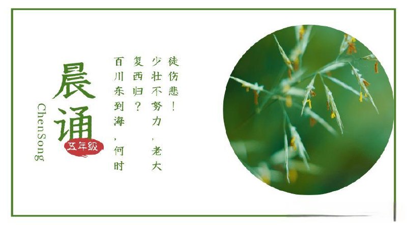 《晨读材料》精选优质内容，助你开启高效晨读时光，提升阅读与思考能力