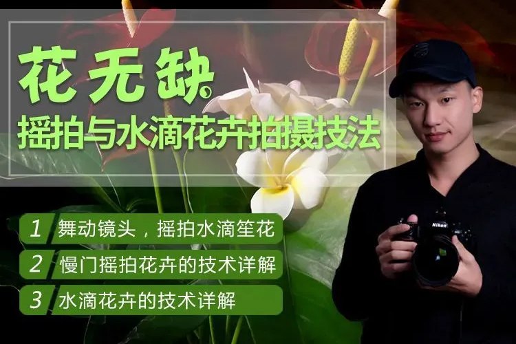 《摇拍与水滴花卉拍摄技法课程》掌握摇拍与水滴花卉拍摄技巧，轻松拍出艺术感十足的照片，提升摄影水平