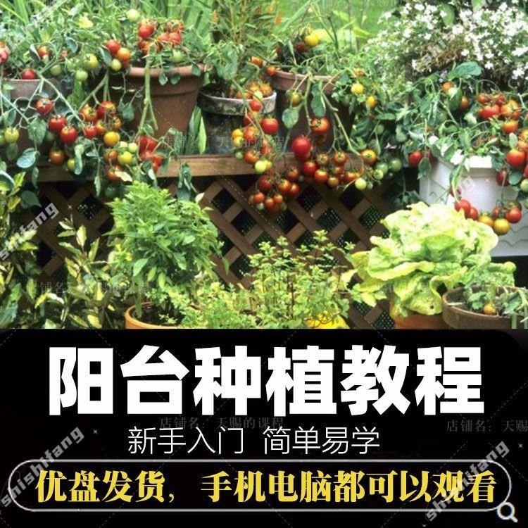《阳台种植课程蔬菜水果绿植盆栽教程》轻松掌握阳台种植技巧，从选种到收获全程指导，打造家庭绿色小菜园️ #阳台种植 #蔬菜水果种植 #绿植盆栽教程 #家庭园艺 #种植技巧 2025-06-29 05:07:51🔗 