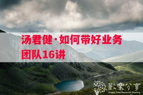 《如何带好业务团队16讲》16讲实战经验，助你快速掌握业务团队管理精髓，提升团队凝聚力和业绩表现