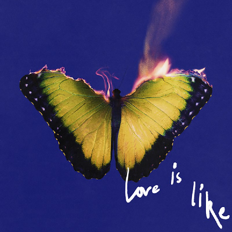 《Maroon 5 Love Is Like 2025 》Maroon 5全新力作，融合复古与未来感，带你体验2025年的爱情旋律️ #流行摇滚 #Maroon5LoveIsLike2025 #音乐新单 2025-08-19 04:19:45🔗 