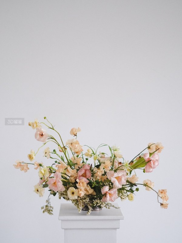 《插花艺术教程家居装饰 婚礼花艺》轻松掌握插花技巧，打造家居与婚礼的浪漫花艺，让生活充满艺术气息