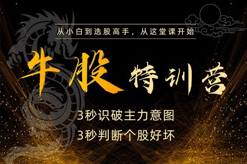 《牛股特训营：从小白到选股高手》掌握牛股筛选核心技巧，从零开始系统学习选股策略，快速提升实战能力，实现稳定盈利