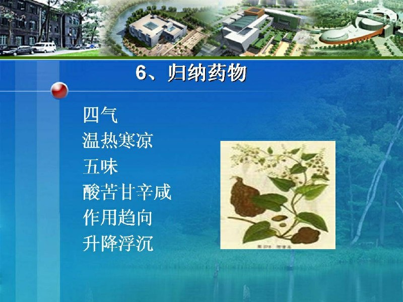 《中医基础理论：成都中医药大学》深入浅出讲解中医理论，结合临床实践，适合初学者和从业者系统学习️ #中医基础 #成都中医药大学 #医学教材 2025-08-05 03:11:28🔗 