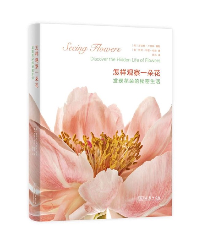 《怎样观察一朵花》从花朵的微观结构到色彩纹理，揭示植物王国的隐秘之美与生命智慧