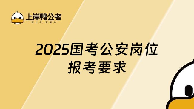 《2025国考公安》2025国考公安备考宝典，涵盖最新考点与实战技巧，助你高效突破笔试面试难关
