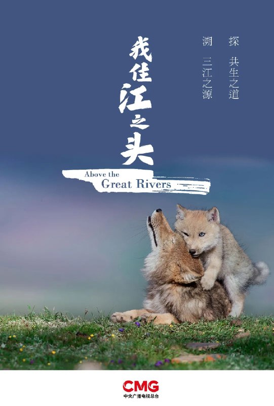 《我住江之头(2022)纪录片》影片聚焦长江源头生态奇观，记录三江源国家公园壮美自然与人文故事，展现生命禁区的生物多样性奇迹