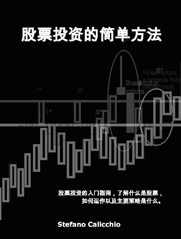 《股票投资入门教程》从零开始掌握股票投资基础，轻松理解市场规律与操作技巧，助你稳健迈出投资第一步