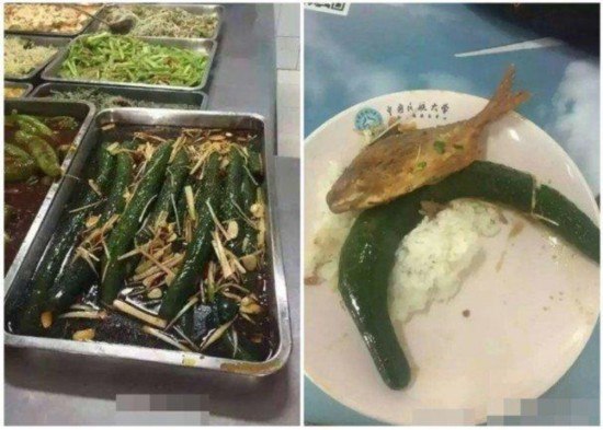 《奇葩菜家族》一家人的奇葩美食冒险，笑料不断，温情满满，带你体验不一样的餐桌故事️ #家庭喜剧 #奇葩菜家族 #爱奇艺独播 2025-07-24 01:57:14🔗 