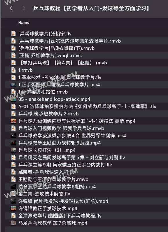 《乒乓球教程初学者从入门-发球等全方面学习》从基础动作到实战发球技巧，全面解析乒乓球入门要点，帮助新手快速掌握核心技能，轻松提升球感与对抗能力