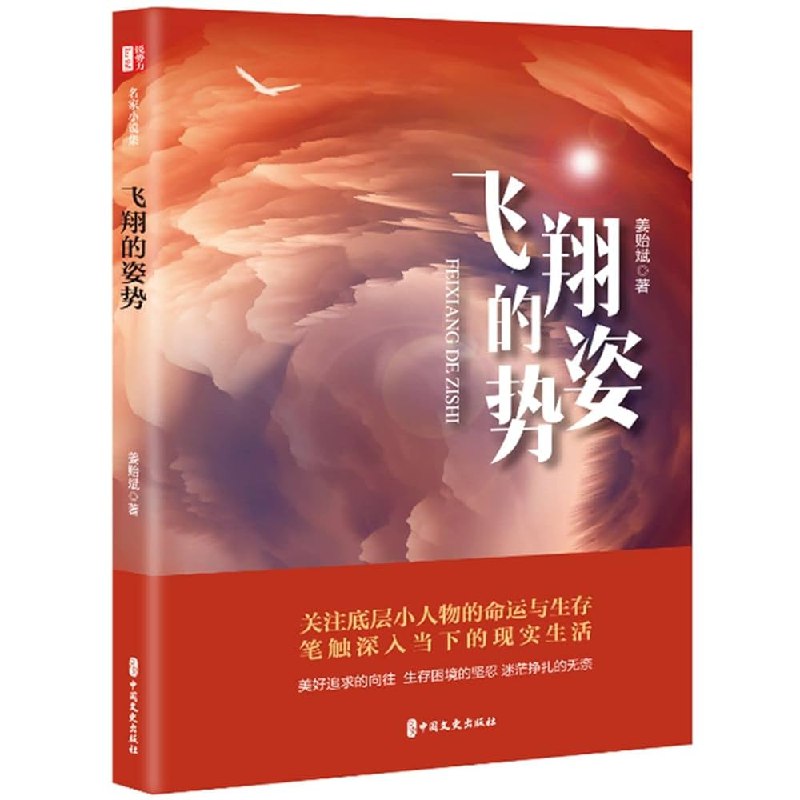 《飞翔的姿势 》用诗意的镜头捕捉自由瞬间，每一帧都是对天空的深情告白