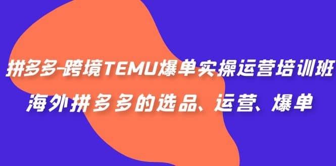 《拼多多跨境TEMU爆单运营实操培训班，海外拼多多的选品、运营、爆单》掌握海外拼多多TEMU运营核心技巧，从选品到爆单实操教学，快速提升跨境销量，抢占蓝海市场先机