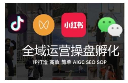 《全域运营操盘(抖音+私域+小红书)，IP打造高效简单》揭秘三大平台运营秘籍，手把手教你打造个人IP，实现全域流量高效转化与私域沉淀