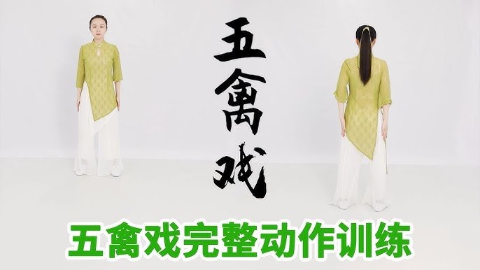 《五禽戏》源自华佗的千年养生智慧，五禽戏通过模仿虎鹿熊猿鸟动作，调和气血、强健脏腑，适合全年龄段日常练习，轻松提升身体柔韧性与免疫力