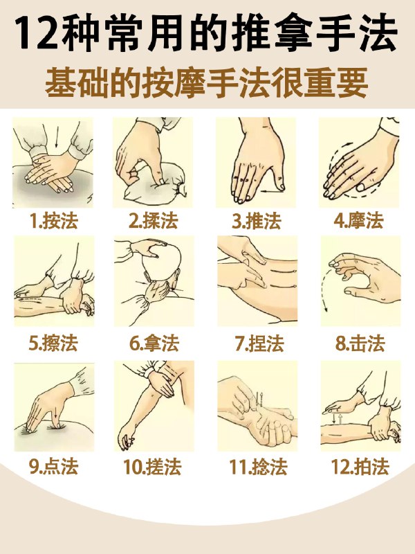 《按摩学最全课程教程 》从入门到精通，系统掌握按摩技法与理疗知识，适合零基础学员快速提升实操能力