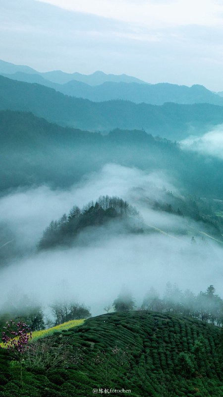 《陈帆摄影》陈帆摄影捕捉瞬间的艺术，每张照片都充满情感与故事，展现独特视角与精湛技艺