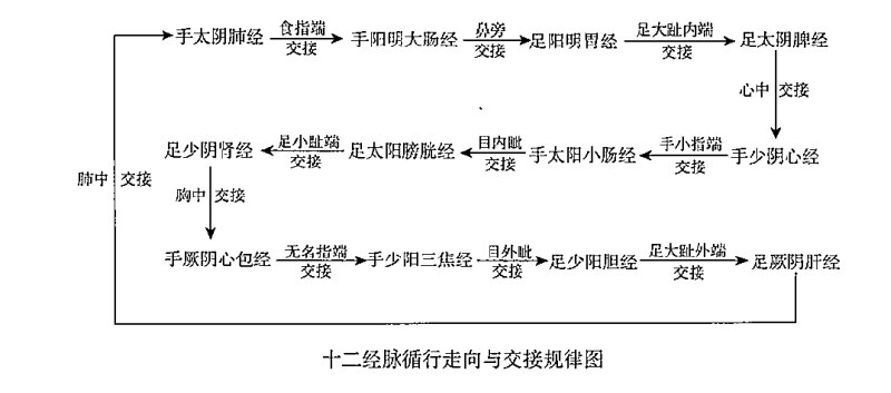 《中医经络诊断与处方十二经络循》深入解析十二经络循行规律，结合诊断与处方，助你掌握中医经络精髓️ #中医经络 #十二经络循 #中医养生 #传统文化 #健康管理 2025-06-29 05:37:50🔗 