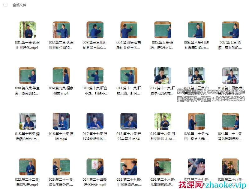 《悟道堂-肝胆净化养生28集视频课程》专业讲解肝胆净化养生方法，28集视频课程助你轻松掌握健康秘诀，提升身体自愈力