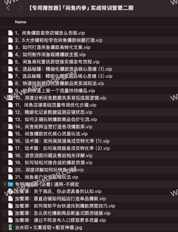 《闲鱼内参实战特训营》深度剖析闲鱼运营策略，手把手教你提升曝光与转化，快速掌握变现技巧，适合新手与进阶玩家