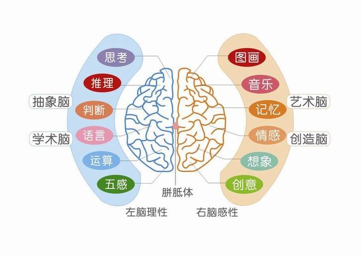 《感知力》探索感知的边界，解锁内在潜能，一本让你重新认识自我与世界的启示录
