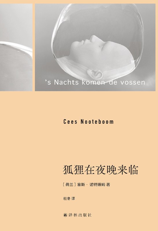 《狐狸在夜晚来临》一部关于孤独与救赎的现代寓言，夜晚的狐狸成为心灵镜像，带你直面内心深处的隐秘角落