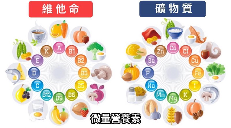 名称：《你的健康离不开微量营养素-微量元素食疗手册》亮点：揭秘微量元素的神奇力量，科学指导日常饮食，助你轻松掌握健康密码