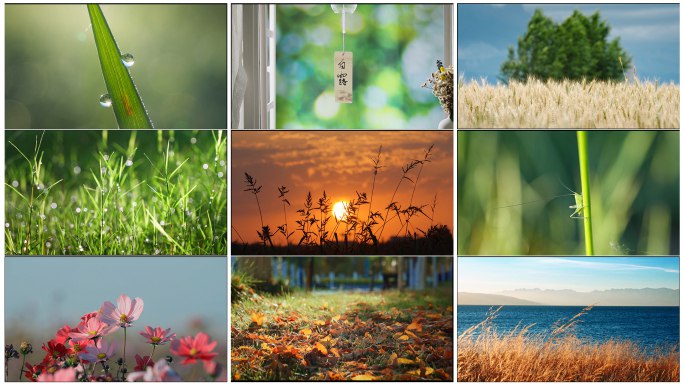 《治愈系风景视频素材合集》沉浸于自然风光，舒缓压力放松身心