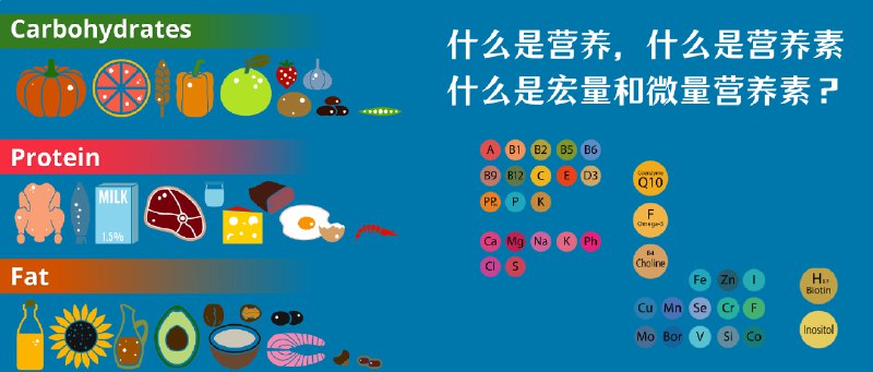 名称：《微量营养素食物强化指南》亮点：科学指导微量营养素强化，提升食品营养价值，助力公众健康饮食