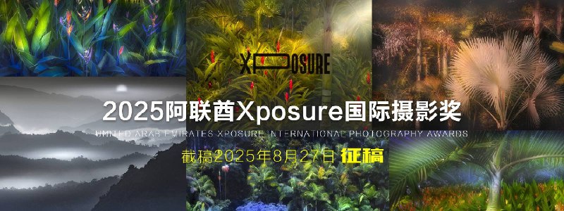 《燕子木-风光摄影基础听故事看作品 学风光摄影拍风光前你需要了解这些知识》从故事中学习风光摄影技巧，轻松掌握拍摄前必备知识，提升作品质量️ #风光摄影 #燕子木 #摄影教程 #摄影基础 #听故事学摄影 2025-08-07 00:53:28🔗 