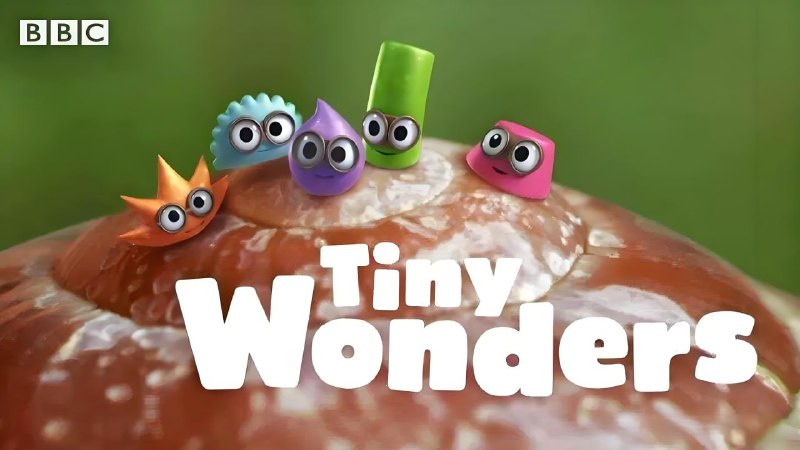 《BBC少儿科普动画小奇迹TinyWonders(视频+音频)》生动有趣的动画带领孩子探索科学奥秘，激发好奇心与学习兴趣