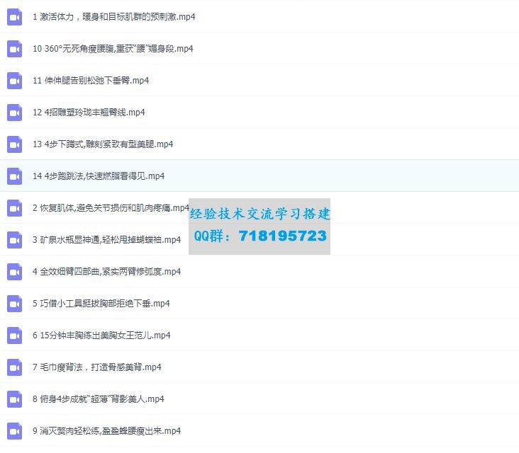 《无器械徒手燃脂 每天15分钟在家轻松瘦》无需器械，每天仅需15分钟，高效燃脂塑形，适合忙碌上班族和居家锻炼，轻松打造理想体型